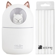위드리빙 무드등 미니가습기+필터 12p 세트, SS21-001(화이트), 화이트