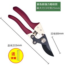 아끼다