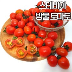 레플토마토