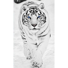 보석십자수백호