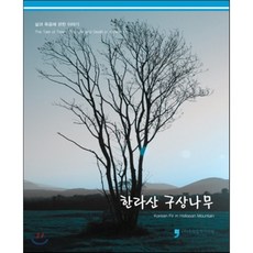 한라산구상나무