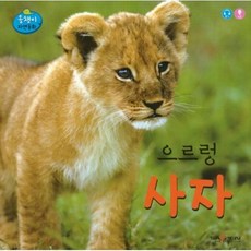 올챙이자연동화