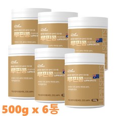  호주산 100% 루피니빈콩 루피니빈 루핀콩 루피니 루피리빈 루피니핀 루빈 콩 루틴콩 효능 추천 500g x 6통 