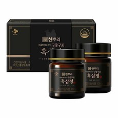 CJ [2024설선물세트]흑삼정 골드클래스 100Gx2 부모님 회사 직장동료 단체 거래처 선물, 1개