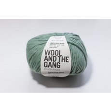 Wool and the Gang 울앤더갱 뜨개실(6colors), 유칼립투스