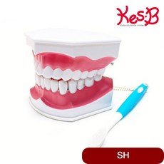 cd2da83efc0901441bc4aafdc33fe0fd7dcace00d534b211ff0e85973e45.jpg