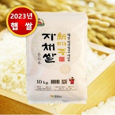 23년산 햅쌀 신여주 자채쌀 10kg x 1포 진상미 여주산 대왕님표 프리미엄 본사직송, 1개