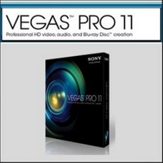 소니 Vegas Pro 11, 단일상품