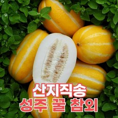 산지직송 성주 꿀 참외, 중과, 1개, 5KG