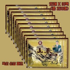 인삼파스 TOP01