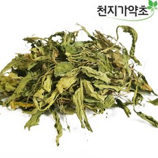 제비꽃차