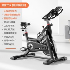 숀리엑스바이크6세대