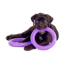 중형견 대형견 강아지 장난감 풀러 독토이 굴리고 던지고 터그놀이 1세트, 2개