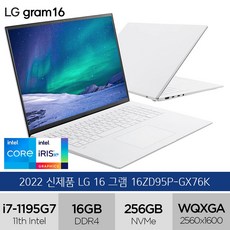 LG 2021 그램 16, 화이트, 16ZD95P-GX76K, 코어i7, 256GB, 16GB, Free DOS