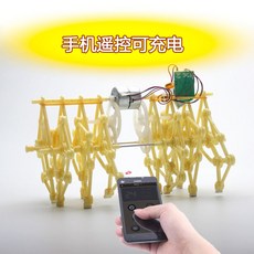 스트랜드비스트