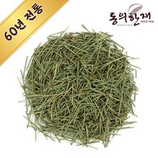 솔잎혹파리