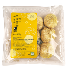 국산 무농약 건조 노루궁뎅이버섯 100g, 1개