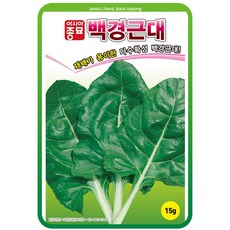 아시아종묘 백경근대씨앗 15g(약1 000립), 1개