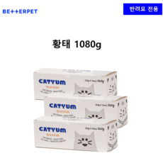 캣냠