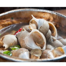 자연산 활골뱅이 1kg 2팩 1팩 소라 고동 계 활골벵이, 대 1kg 17~22미 1팩, 2개