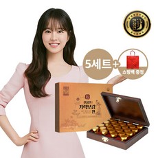 [농협홍삼]한삼인 기력보감환 3.75gX25환 5세트+쇼핑백, 5개