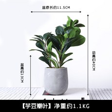 꾸미기 카페 신혼집 거실 화장실 실내조경 소품 고급 조화 사무실 선물 미용실XT20201008592Z, 진 한 카키색 의 콩짜개 잎 은 그림 을 기준 으로 한