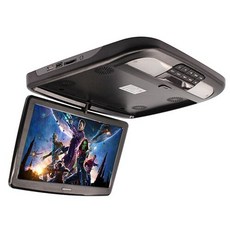 카니발천장티비