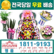 안쉬룸꽃화분 동양란빠른배송 회갑화환 장례식화환 식당화환 결혼화한 미니호접난배달 개업식축하화환 축하화한 개업축하화환 당선축하화환 안쉬룸배달 꽃화분안쉬룸 꽃화분배달 스투키화분, 1.축하3단, 1개