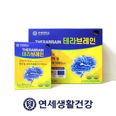 테라브레인