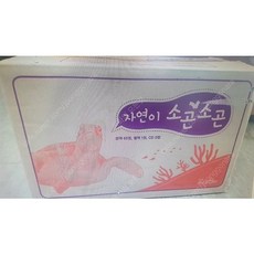 자연이소곤소곤