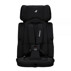 다이치이지캐리