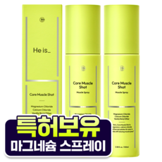 핫슘 뿌리는 마그네슘 핫 스프레이 스포츠 파스 120ml 1개 상품 이미지