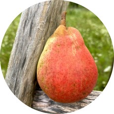 귀국독주회팜플랫 TOP01