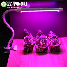 일반led조명으로식물키우기