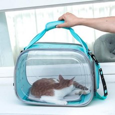 기니피그용 캐리어 백 애완동물 투명 외출 가방 고양이 강아지 캐리어