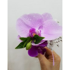 671e485685b29a6d00fcacbb47f46e28b02d4e8fa7851a90dff670b27b23.jpg