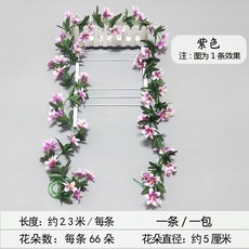 등나무꽃액자