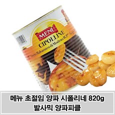 양파피클