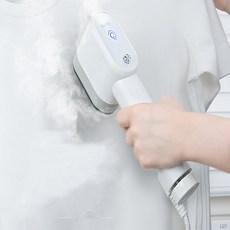 스팀무야호