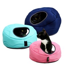 스텝투플레이하우스