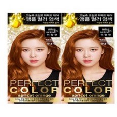 미장센퍼펙트컬러