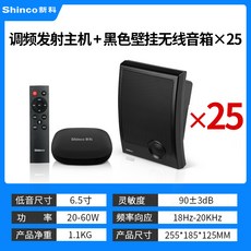 블루투스스피커 Z15무선블루투스 가정용 벽걸이 스피커 벽에거는식 중저음 천장 배경 음악, C01-공식모델, T18-구역분리 주파수조절 발사장치+25개 무선 벽걸이 스피커