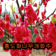cdf88e5ce804be16f6a8f4d28c58eb3d41dfcd5dac2395b40ea5720ba38f.png