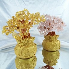 돈들어오는나무