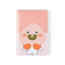 카카오여권지갑