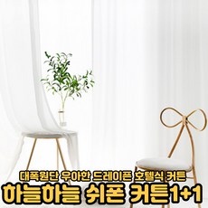 쉬폰커튼1+1