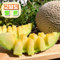 멜론 TOP01