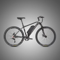 emtb 로드 전기 산악 자전거 3륜 삼륜 가성비 전기자전거 29 인치 E5 리튬 지원 성인 디스크 브레이크 토크 전자, 26x17 인치