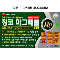 징코 마그페롤 60캡슐x2(4개월) / 은행잎추출물 산화마그네슘 비타민B1 비타민B12 기억력 혈행