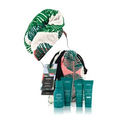 아베다보태니컬리페어헤어케어세트